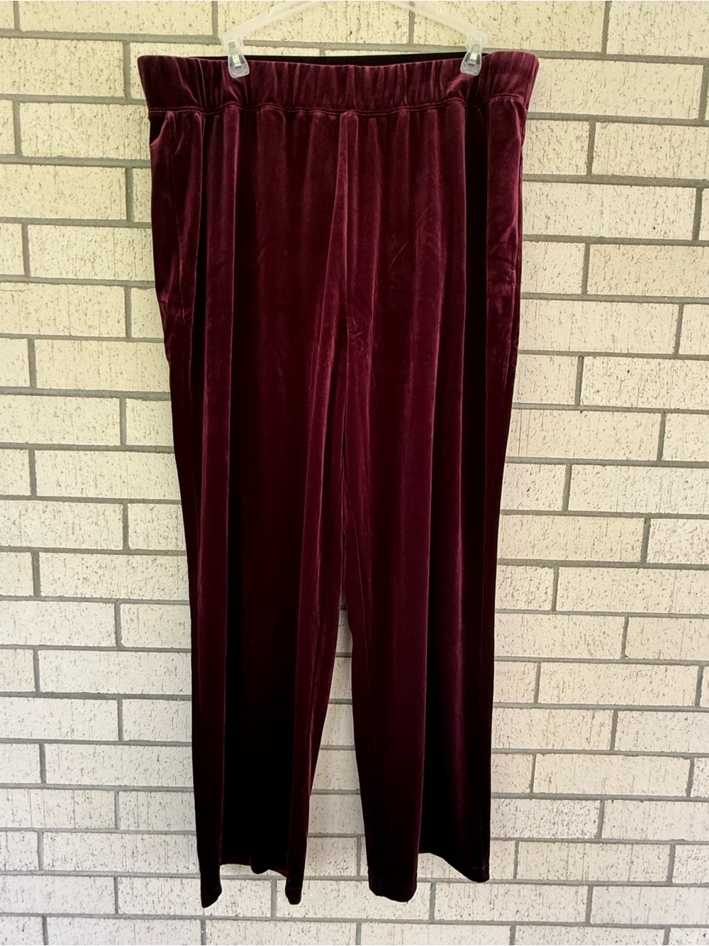Susan Graver Women's Velvet Pants in Deep Burgundy